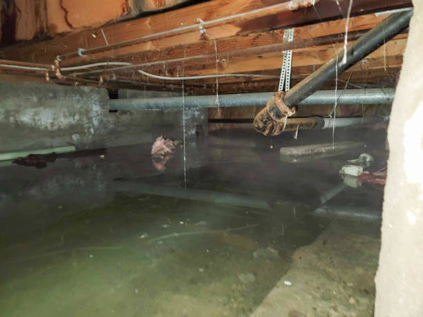 Best Water damage cleanup near me  in San Angelo, TX