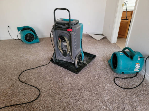 Best Sewage cleanup and water damage restoration  in San Angelo, TX