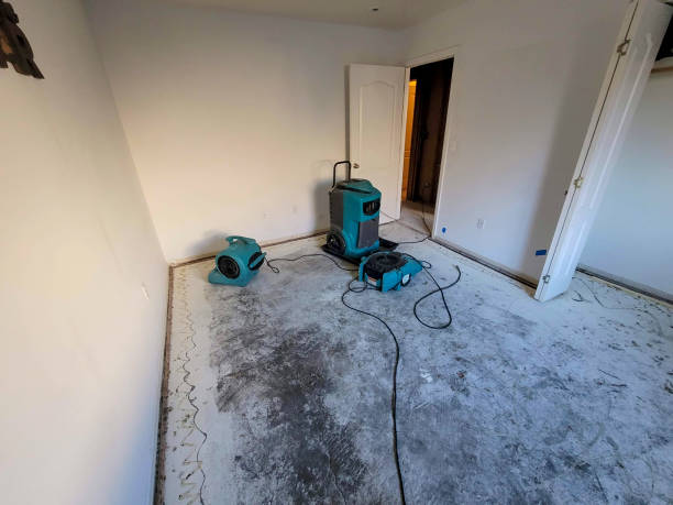 Best Water damage restoration near me  in San Angelo, TX