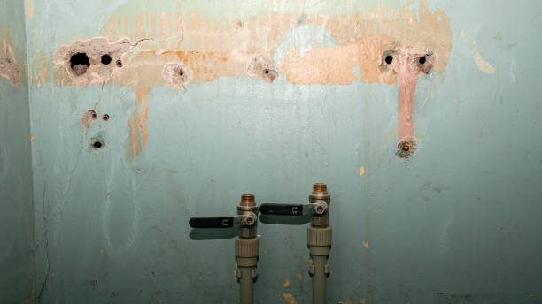 Best Water damage cleanup near me  in San Angelo, TX
