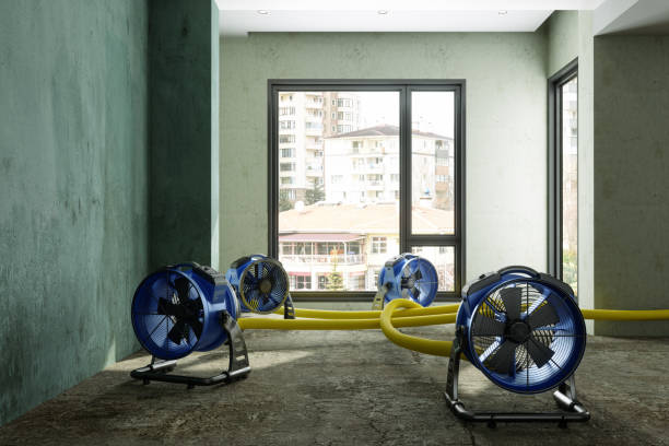 Best Sewage cleanup and water damage restoration  in San Angelo, TX